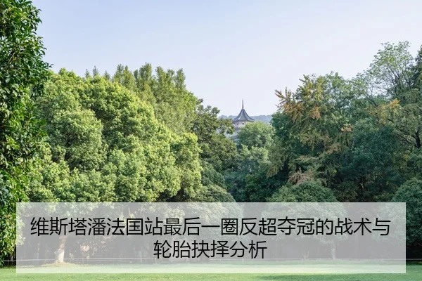 维斯塔潘法国站最后一圈反超夺冠的战术与轮胎抉择分析 - kaiyun